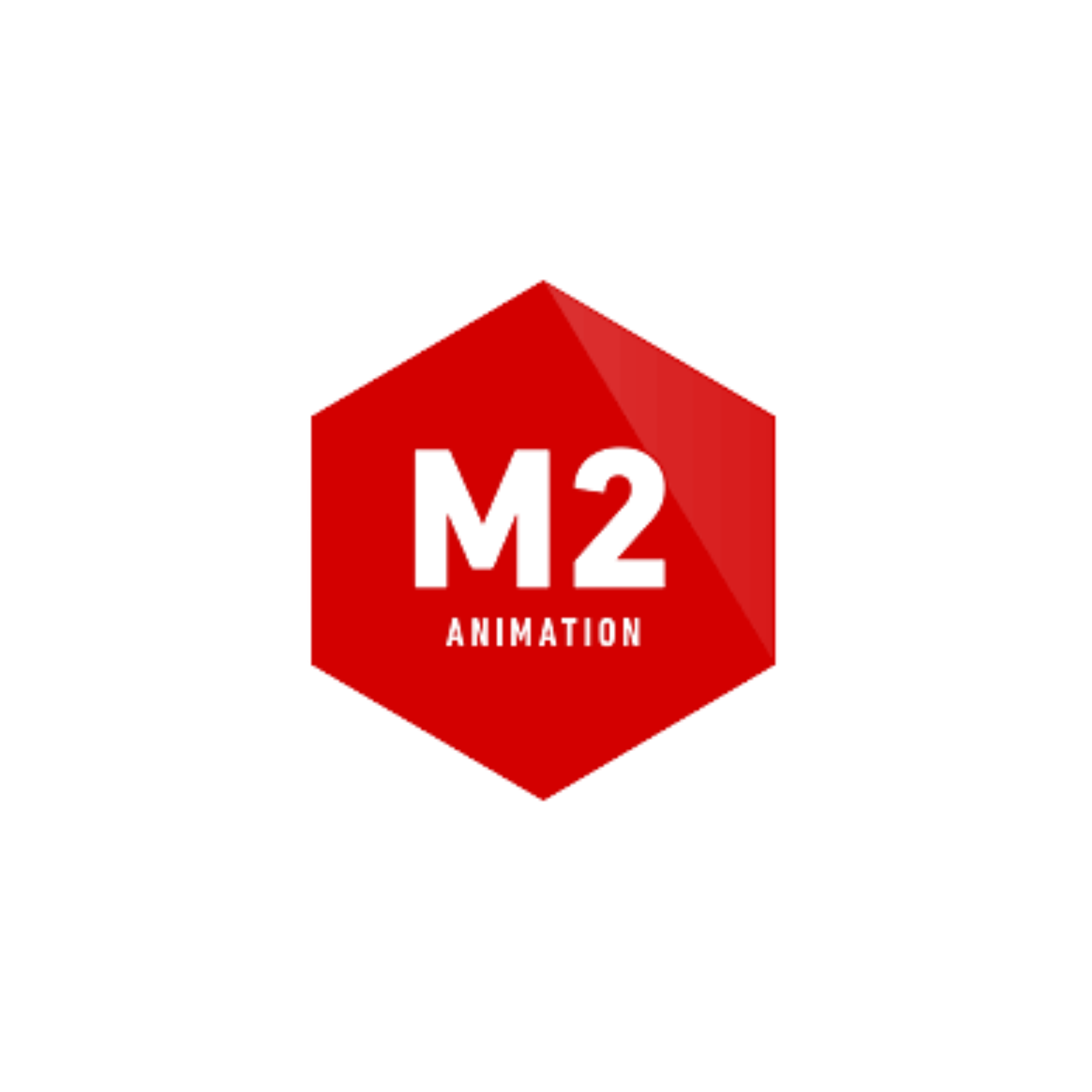 Partner 31